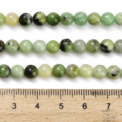 Natural Serpentine Beads Strands G-Z110-C04-6mm-1