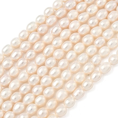 Natural Cultured Freshwater Pearl Beads Strands PEAR-D003-01D-15-1