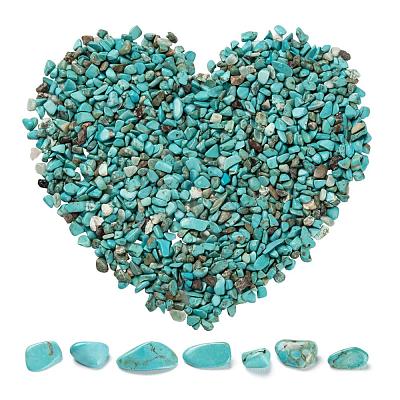 Synthetic Turquoise Chip Beads G-FS0001-13-1