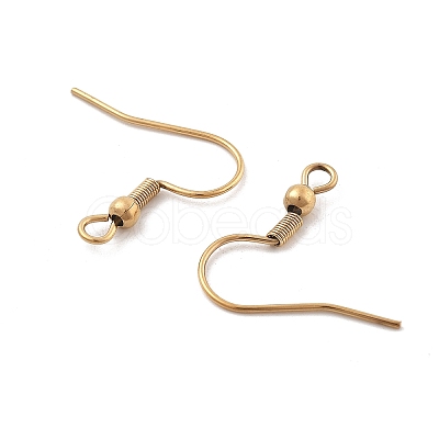 316 Surgical Stainless Steel Earring Hooks X-STAS-M288-06G-B-1