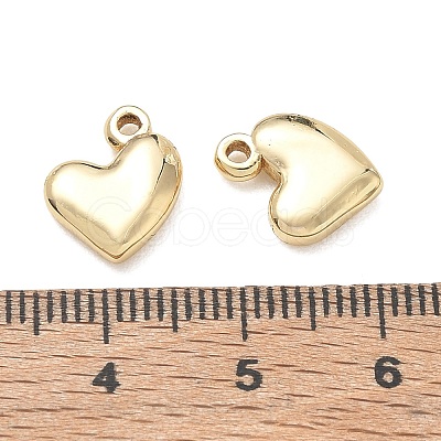 304 Stainless Steel Charms SA-CBA3037-20G-07-1