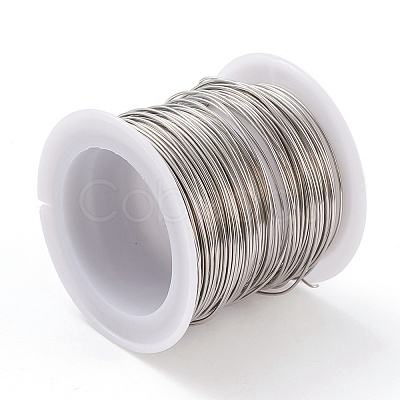 Non-Tarnish 316 Surgical Stainless Steel Wire TWIR-L004-01B-P-1