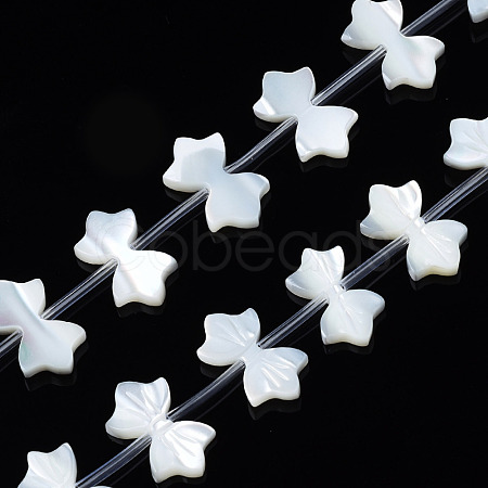 Natural White Shelll Beads Strands SSHEL-S278-123B-1