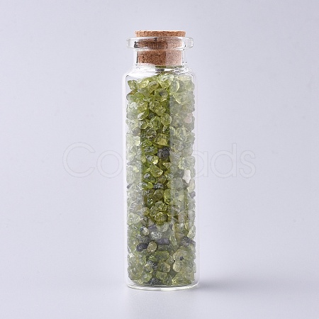 Glass Wishing Bottle DJEW-L013-A11-1