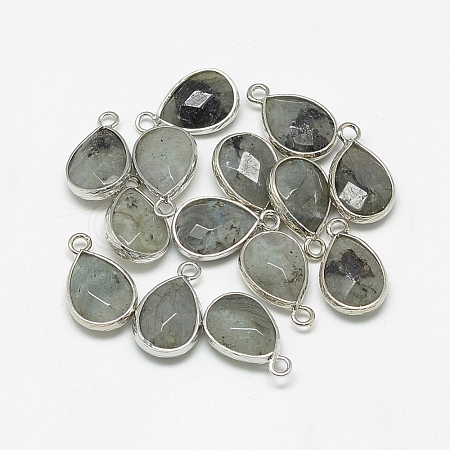 Natural Labradorite Pendants G-Q494-82P-01-1
