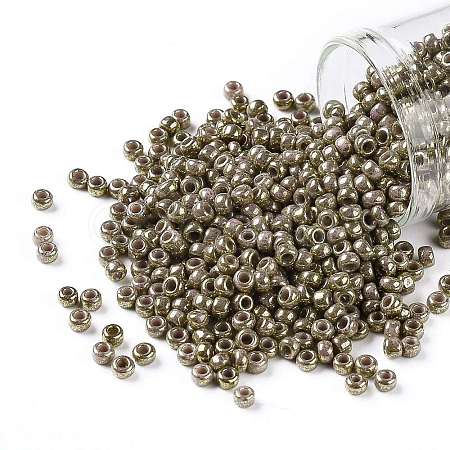 TOHO Round Seed Beads SEED-JPTR08-1704-1