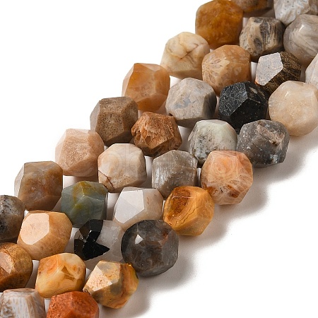Natural Fossil Coral Beads Strands G-K382-A07-02-1
