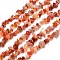 Natural South Red Agate Chips Bead Strands, 5~8x5~8mm, Hole: 1mm, about 31.5 inch