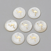 Freshwater Shell Pendants LS-SHEL-Q010-003G-1