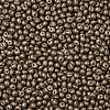 6/0 Glass Seed Beads SEED-L011-08A-09-3