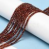Natural Garnet Bead Strands G-G663-03-2mm-01-4