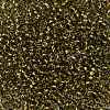 TOHO Round Seed Beads SEED-JPTR08-0758-2