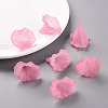 Transparent Acrylic Beads X-BSF796-C10-8