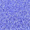 MIYUKI Delica Beads X-SEED-J020-DB0240-3