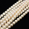 Natural Cultured Freshwater Pearl Beads Strands PEAR-L001-H-13-01-1