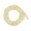 Electroplate Glass Beads Strands GLAA-B023-01A-05-2
