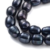 Dyed Natural Cultured Freshwater Pearl Beads Strands PEAR-P062-08C-4