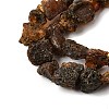 Raw Rough Natural Amber Beads Strands GG-CBAC13F-D01-01-4