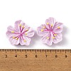 Resin Cabochons OACR-U002-03E-3