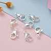 304 Stainless Steel Lobster Claw Clasps X-STAS-E464-21E-S-6
