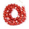Natural Trochus Shell Mother of Pearl Shell Beads Strands SSHEL-T012-06-2