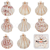 20Pcs Natural Scallop Shell Dyed Pendants FIND-BBC0003-15-1