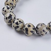Natural Dalmation Jasper Beads Strands X-G-G515-10mm-06-3