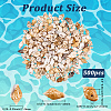 165g Natural Shell Pendants SHEL-PA0001-05-2