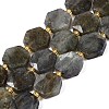 Natural Labradorite Beads Strands G-N368-01A-07-2