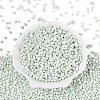Opaque Glass Seed Beads GLAA-Q119-01-A05-2