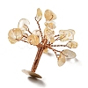 Natural Citrine Chips Display Decorations G-Z016-13B-3