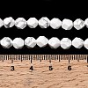 Natural Howlite Beads Strands G-Z119-A43-01-6
