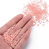 13/0 Glass Seed Beads SEED-T005-14A-A01-5