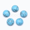 Synthetic Turquoise Cabochons G-E492-H-29-1