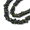 Natural Trochid Shell/Trochus Shell Beads Strands SHEL-S258-081-B01-3