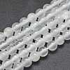 Natural Selenite Beads Strands G-G792-24B-1