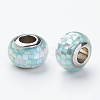 304 Stainless Steel Resin European Beads RPDL-P002-A10-1