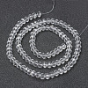 Glass Beads Strands EGLA-A034-T3mm-D19-2