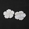 Natural Freshwater Shell Carved Beads BSHE-S304-16-2
