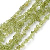 Natural Peridot Beads Strands G-G0003-B27-1