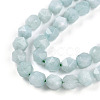 Natural Myanmar Jade/Burmese Jade Beads Strands G-T108-27A-01-4