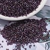 MIYUKI Delica Beads X-SEED-J020-DB2390-1