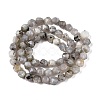 Natural Grey Labradorite Beads Strands G-T138-225-2