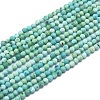 Natural HuBei Turquoise Beads Strands G-G792-38-1