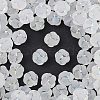 Frosted Transparent Acrylic Beads OACR-P029-16B-01-1