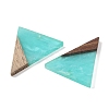 Resin & Wood Pendants WOOD-F015-06B-2