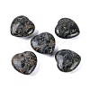 Natural Kambaba Jasper Healing Stones G-G020-01-02-1