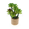 Plastic Potted Plant Mini Model PW-WGD7CCF-04-1