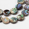Natural Abalone Shell/Paua Shell Beads Strands SHS014-01-3