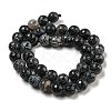 Crackle Agate Beads Strands G-A003-1-5